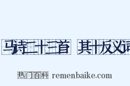 马诗二十三首·其十反义词是什么意思的图片